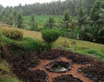 IDEP-Permaculture-Project-a-tire-pond.jpg