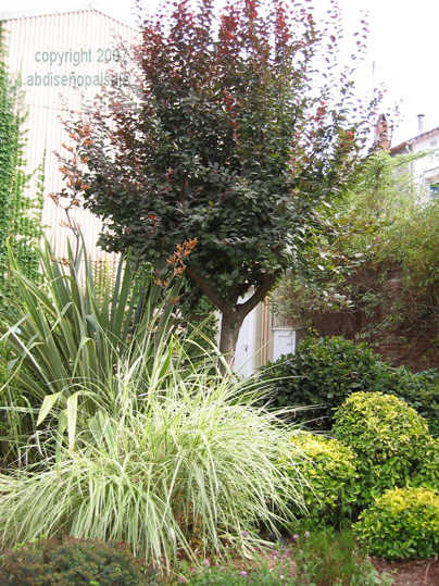 IexcelenteMG_02531.jpg