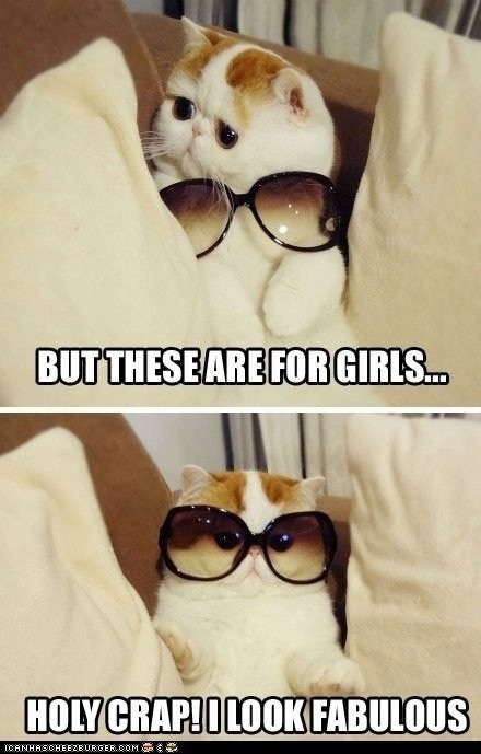 if-elton-john-had-a-cat-21190.jpg