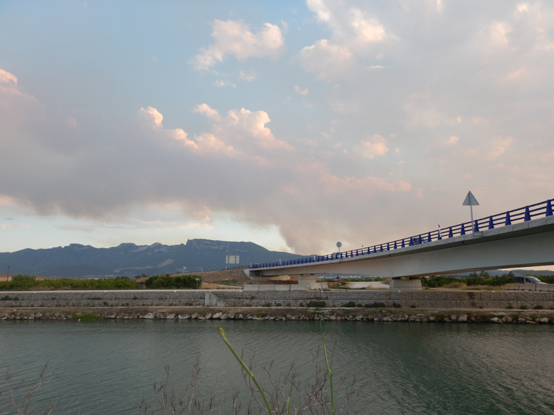 ifc06.jpg
