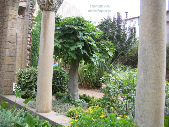 IhigueraMG_0239.jpg