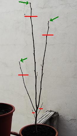 iiiiio_zpsa6ec8a37.jpg
