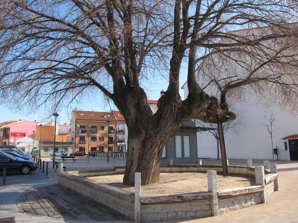 ille3_zpsa6105f70.jpg