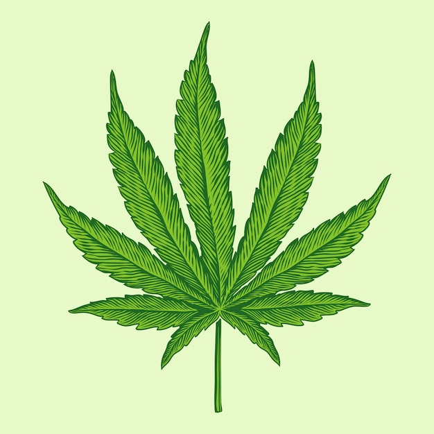 ilustracion-grabado-hoja-marihuana-cannabis_6427-410.jpg