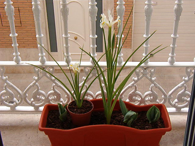 IM001408.JPG