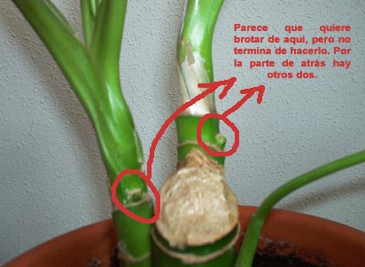IM006018.jpg