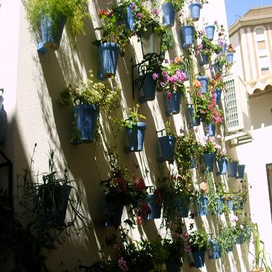 IMAG0007.JPG