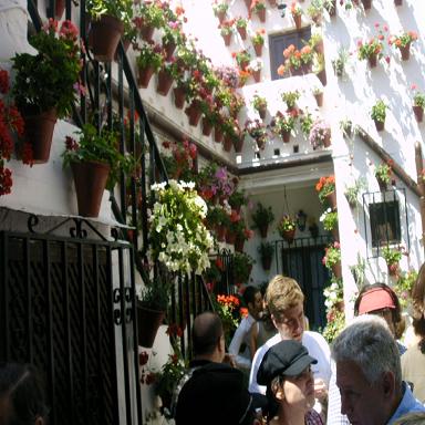 IMAG0010.JPG