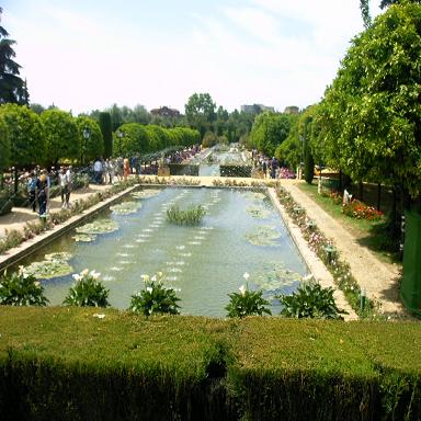 IMAG0016.JPG