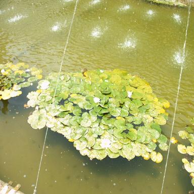 IMAG0017.JPG