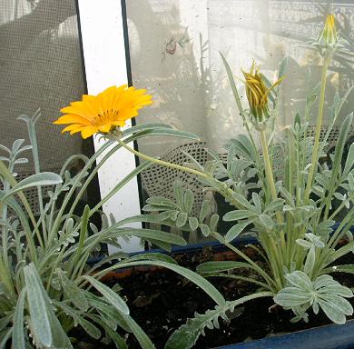 IMAG0021.JPG