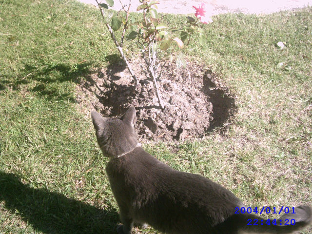 IMAG0030.jpg