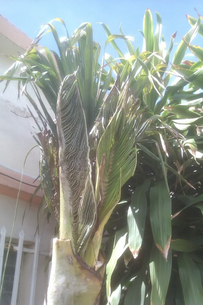 IMAG0032.jpg