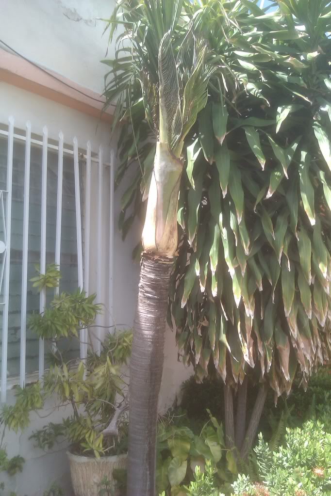 IMAG0034.jpg