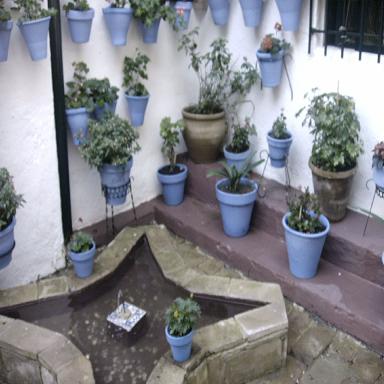 IMAG0034.JPG
