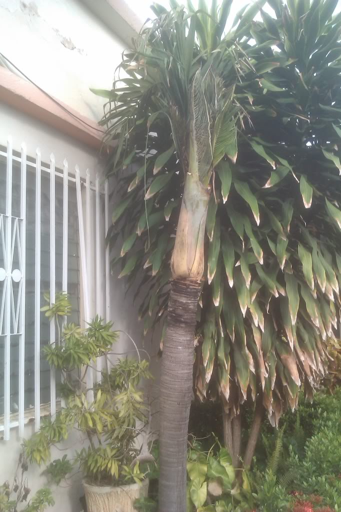 IMAG0035.jpg