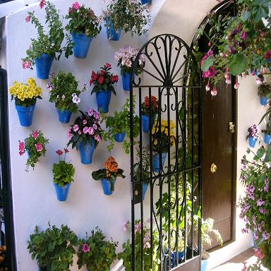 IMAG0041.JPG