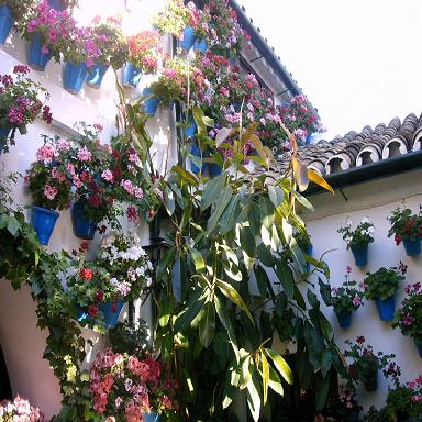 IMAG0045.JPG