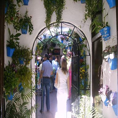 imag0047.JPG