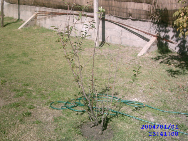 IMAG0059.JPG
