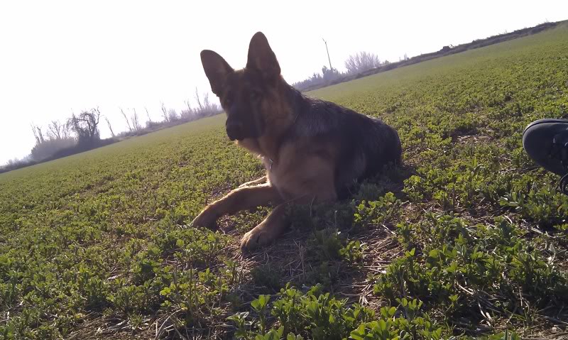 IMAG0061.jpg