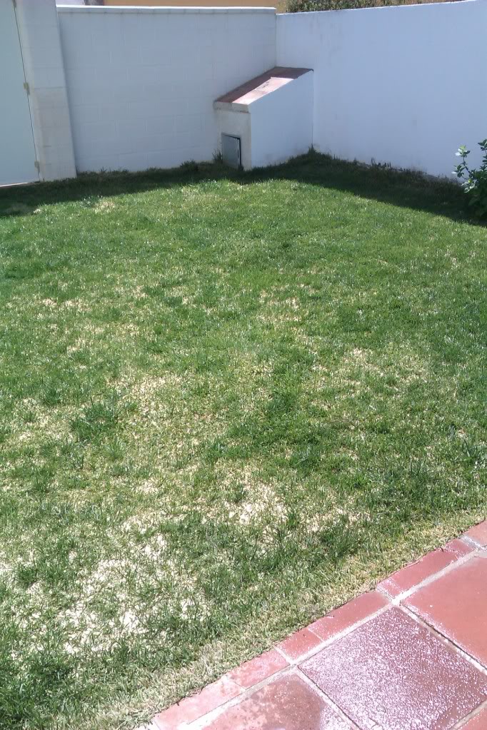IMAG0162.jpg
