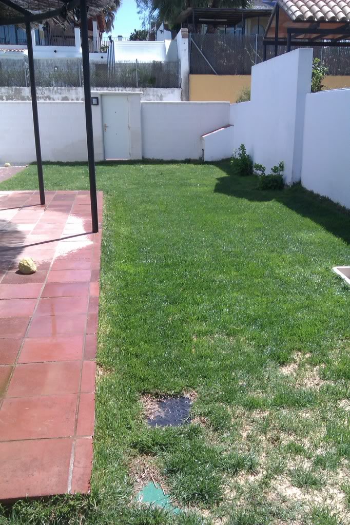 IMAG0163.jpg