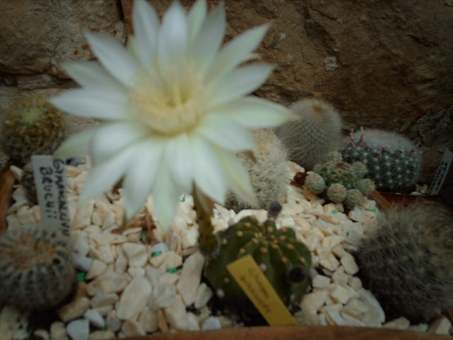 IMAG0210.JPG