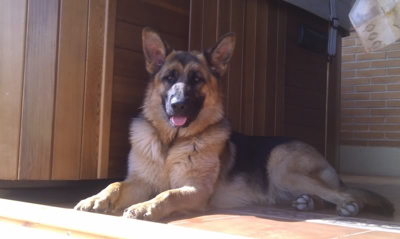 IMAG0282-1.jpg
