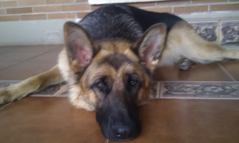 IMAG0303.jpg