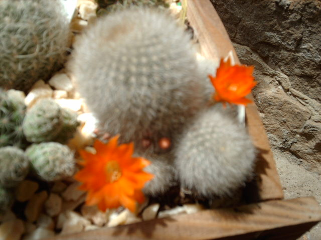 IMAG0361.JPG