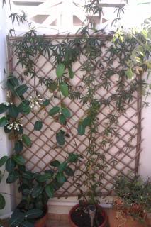 IMAG0373.jpg