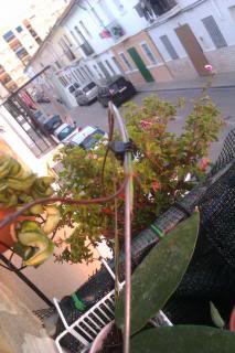 IMAG0547.jpg