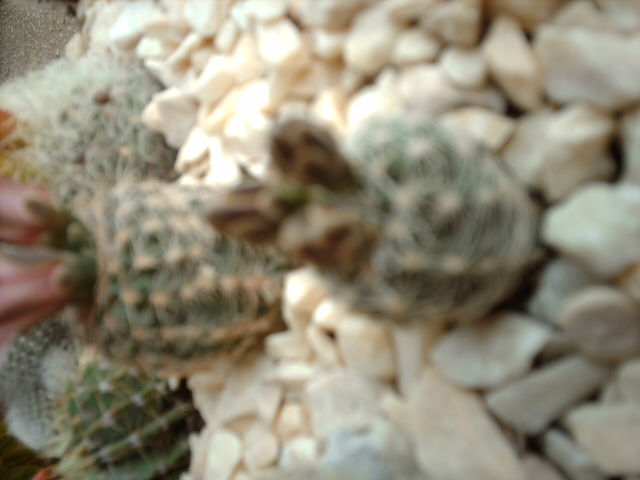 IMAG0556.JPG