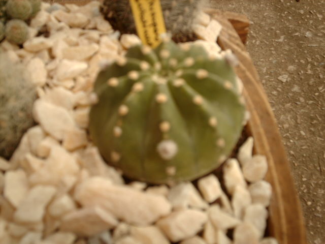 IMAG0557.JPG