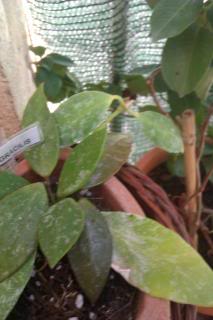 IMAG0558.jpg
