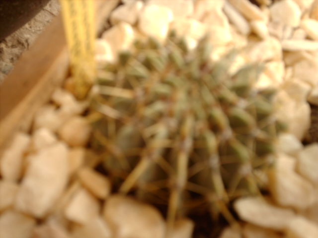 IMAG0559.JPG