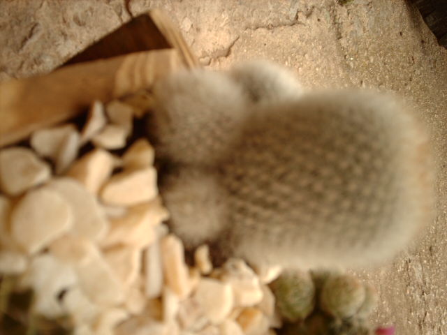 IMAG0560.JPG