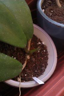 IMAG0560.jpg