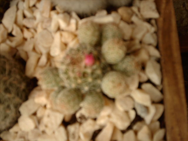 IMAG0562.JPG