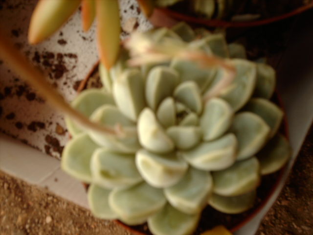 IMAG0564.JPG