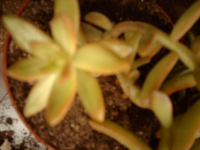 IMAG0566.JPG