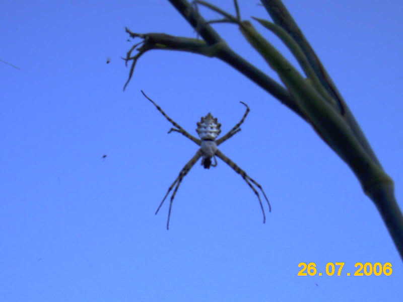 IMAG0573.jpg