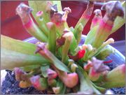 IMAG0635.jpg