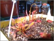 IMAG0639.jpg