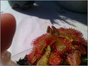 IMAG0644.jpg