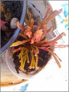 IMAG0660.jpg