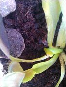 IMAG0665.jpg