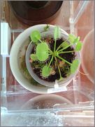 IMAG0676.jpg