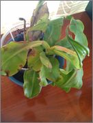 IMAG0679.jpg